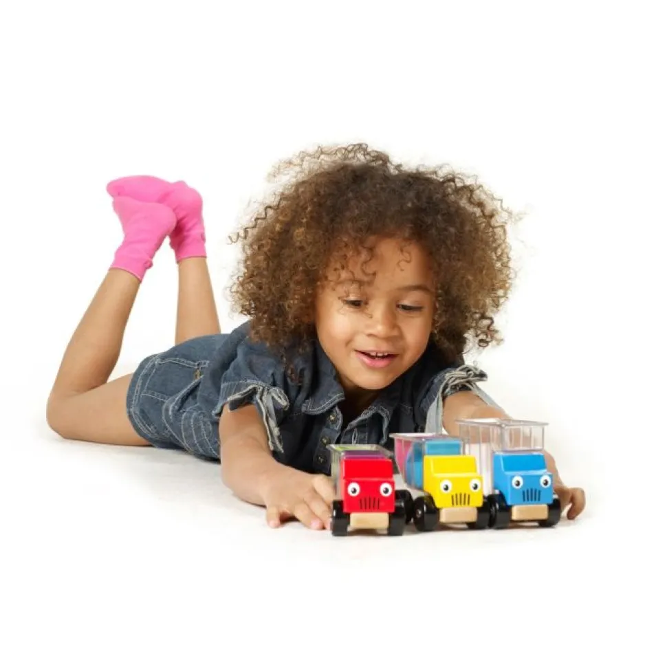 Bahuts Malins - SmartGames