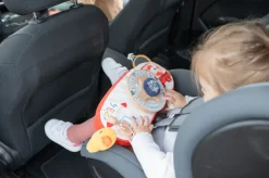 Panneau d'activités Ferme en voiture - Lilliputiens