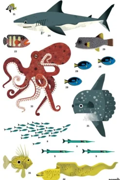 Poster et stickers Océan - Poppik