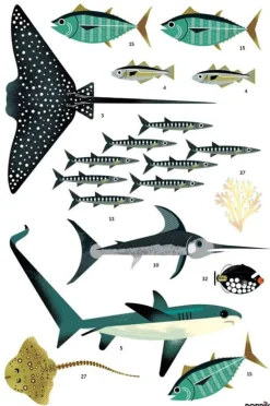 Poster et stickers Océan - Poppik