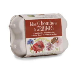 Set de 6 bombes à graines dans leur boîte à œuf Le jardin du Moulin - Moulin Roty