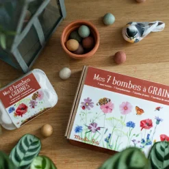 Set de 6 bombes à graines dans leur boîte à œuf Le jardin du Moulin - Moulin Roty