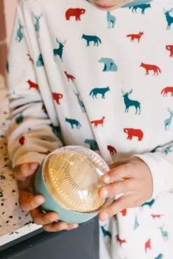 Timer Kidytimer Kidywolf